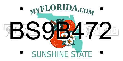 BS9B472 Florida License Plate