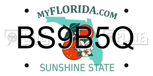 BS9B5Q Florida License Plate