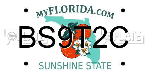 BS9T2C Florida License Plate