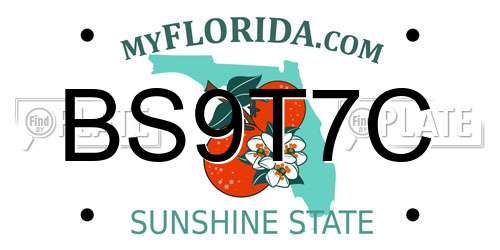BS9T7C Florida License Plate