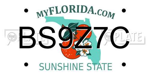 BS9Z7C Florida License Plate