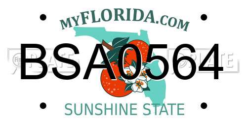 BSA0564 Florida License Plate