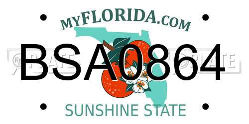 BSA0864 Florida License Plate
