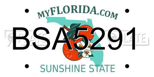 BSA5291 Florida License Plate