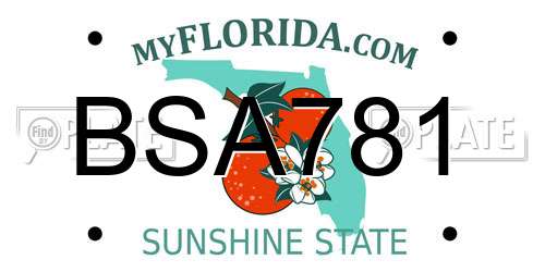 BSA781 Florida License Plate