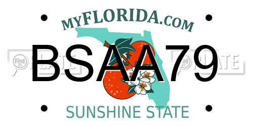 BSAA79 Florida License Plate