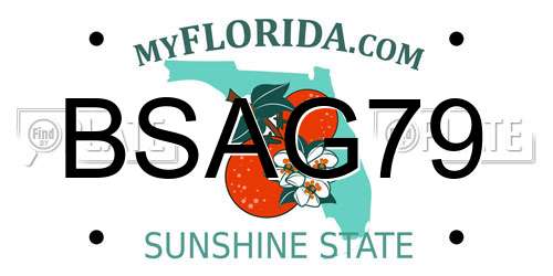 BSAG79 Florida License Plate