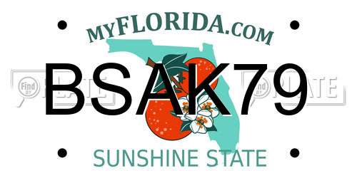 BSAK79 Florida License Plate