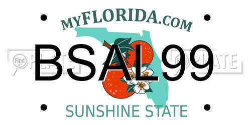 BSAL99 Florida License Plate