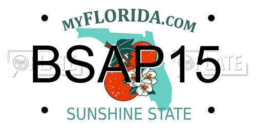 BSAP15 Florida License Plate