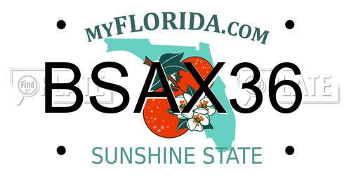 BSAX36 Florida License Plate