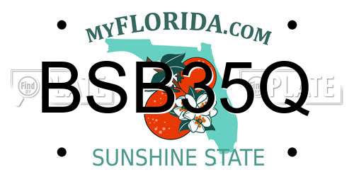BSB35Q Florida License Plate