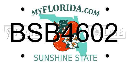 BSB4602 Florida License Plate