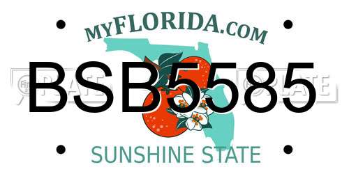 BSB5585 Florida License Plate