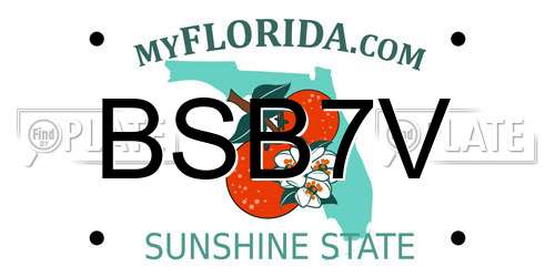 BSB7V Florida License Plate