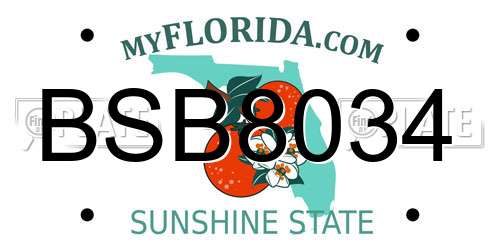 BSB8034 Florida License Plate