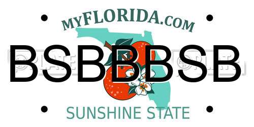 BSBBBSB Florida License Plate