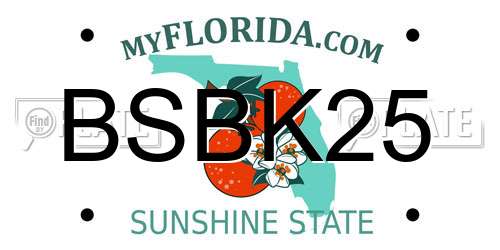 BSBK25 Florida License Plate