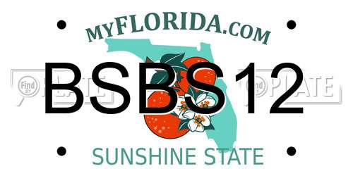 BSBS12 Florida License Plate