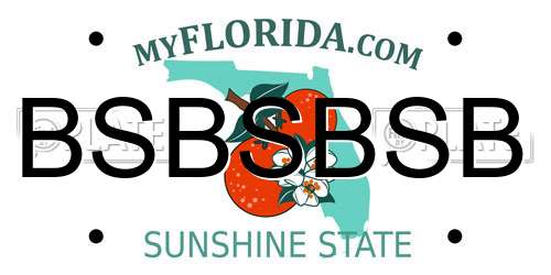 BSBSBSB Florida License Plate