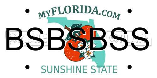 BSBSBSS Florida License Plate