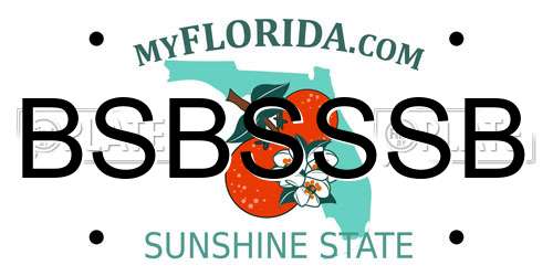 BSBSSSB Florida License Plate