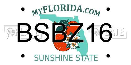 BSBZ16 Florida License Plate