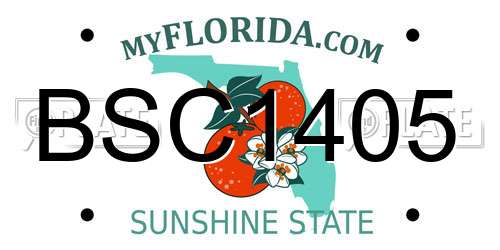 BSC1405 Florida License Plate