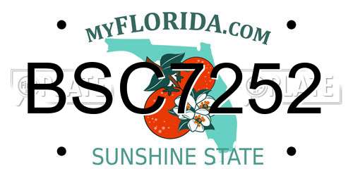 BSC7252 Florida License Plate