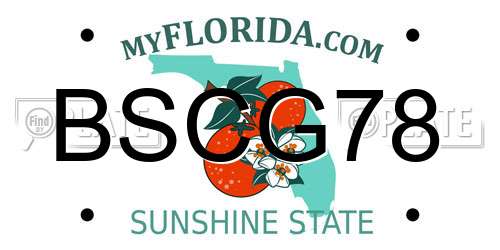BSCG78 Florida License Plate