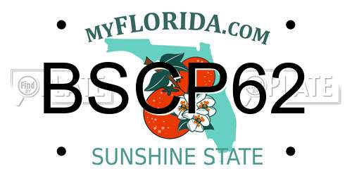 BSCP62 Florida License Plate