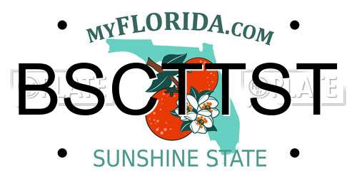 BSCTTST Florida License Plate