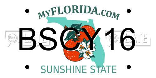 BSCY16 Florida License Plate