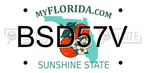 BSD57V Florida License Plate
