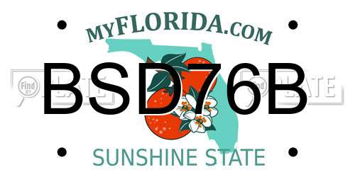 BSD76B Florida License Plate