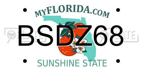 BSDZ68 Florida License Plate