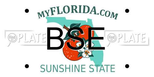 BSE Florida License Plate
