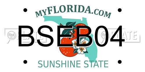 BSEB04 Florida License Plate