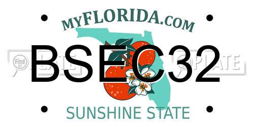 BSEC32 Florida License Plate