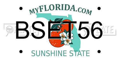 BSET56 Florida License Plate