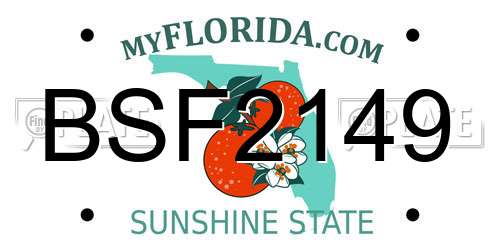 BSF2149 Florida License Plate