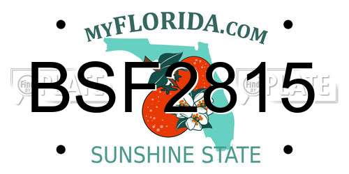 BSF2815 Florida License Plate