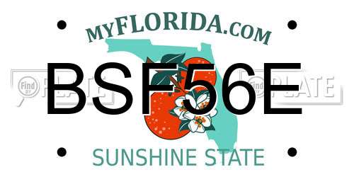 BSF56E Florida License Plate