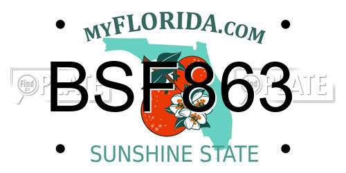 BSF863 Florida License Plate
