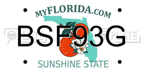 BSF93G Florida License Plate