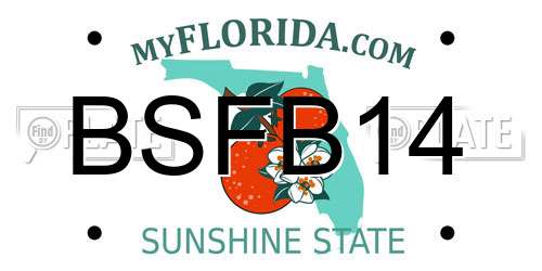 BSFB14 Florida License Plate