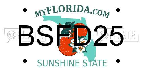 BSFD25 Florida License Plate