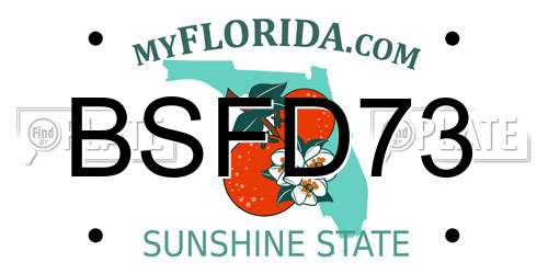 BSFD73 Florida License Plate
