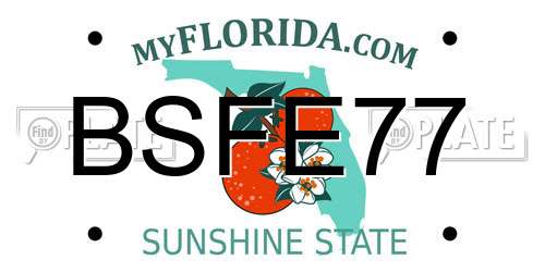 BSFE77 Florida License Plate