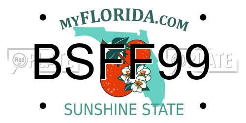 BSFF99 Florida License Plate